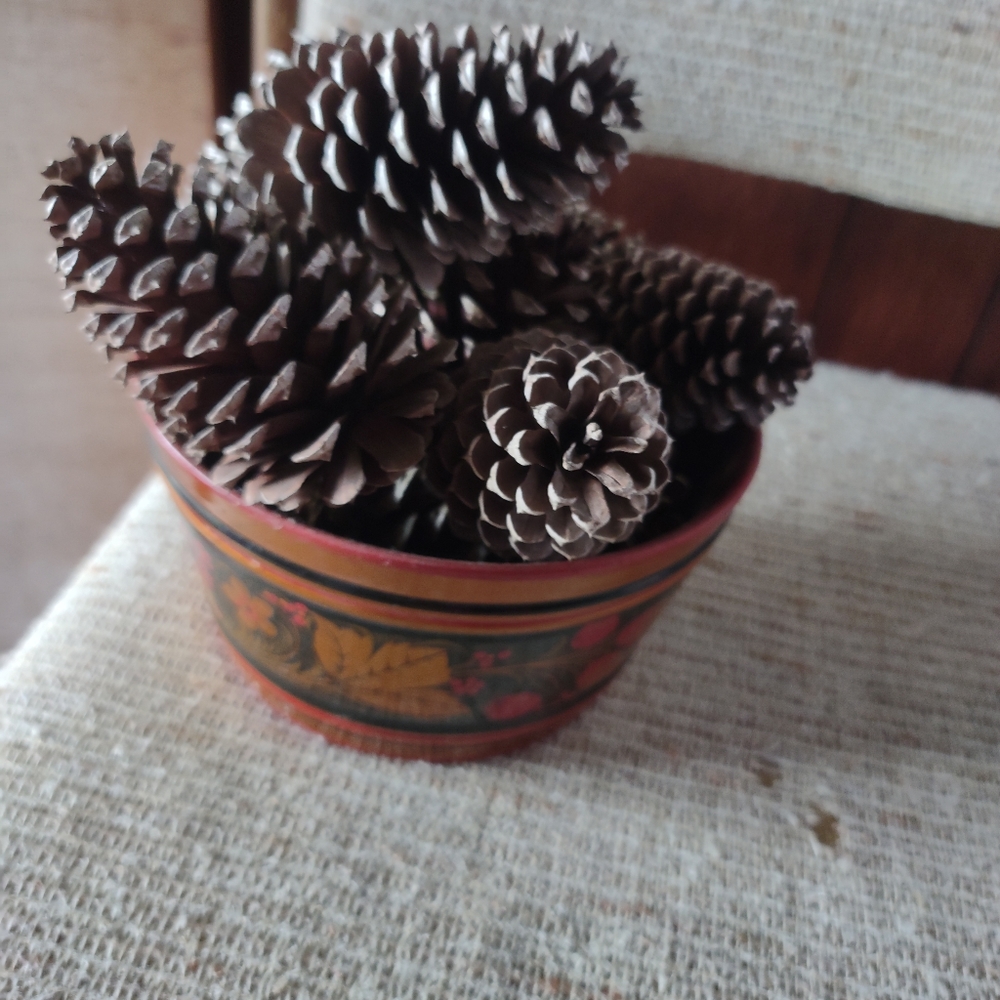 VINTAGE SMALL DECORATIVE WOODEN CENTERPIECE FILLED WITH NATURAL GROWN PINECONES.